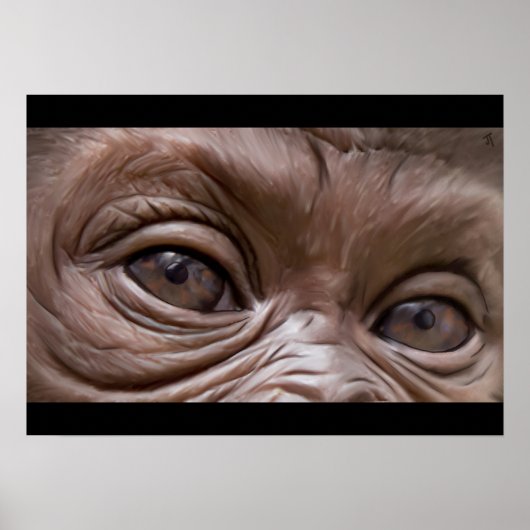 gorilla poster (Voorkant)