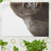 Gorilla Pout Theedoek (Gevouwen)