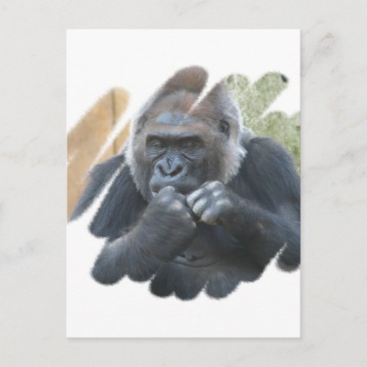 Gorilla Primate Briefkaart (Voorkant)