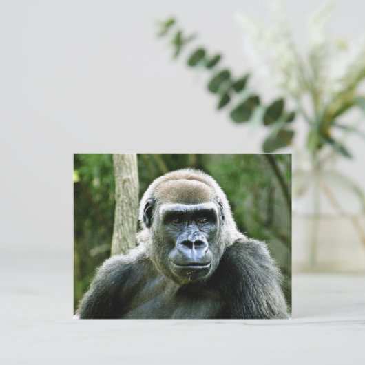 Gorilla Profile Briefkaart (Staand voorkant)