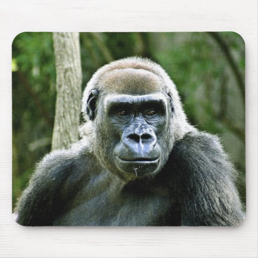 Gorilla Profile Muismat (Voorkant)