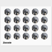 Gorilla Ronde Sticker (Vel)