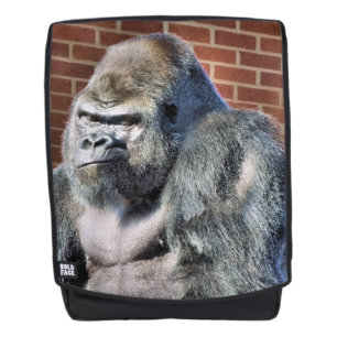 GORILLA RUGTASSEN