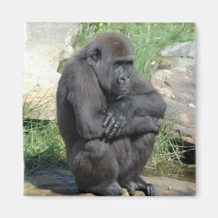 Gorilla Sitting Magnet Magneet