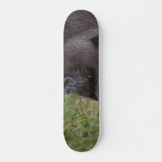 Gorilla Skateboard