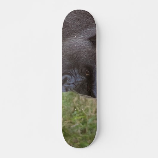 Gorilla Skateboard (Voorkant)