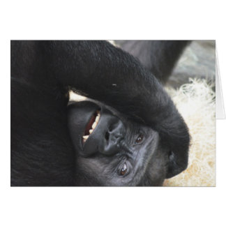 Gorilla Smile