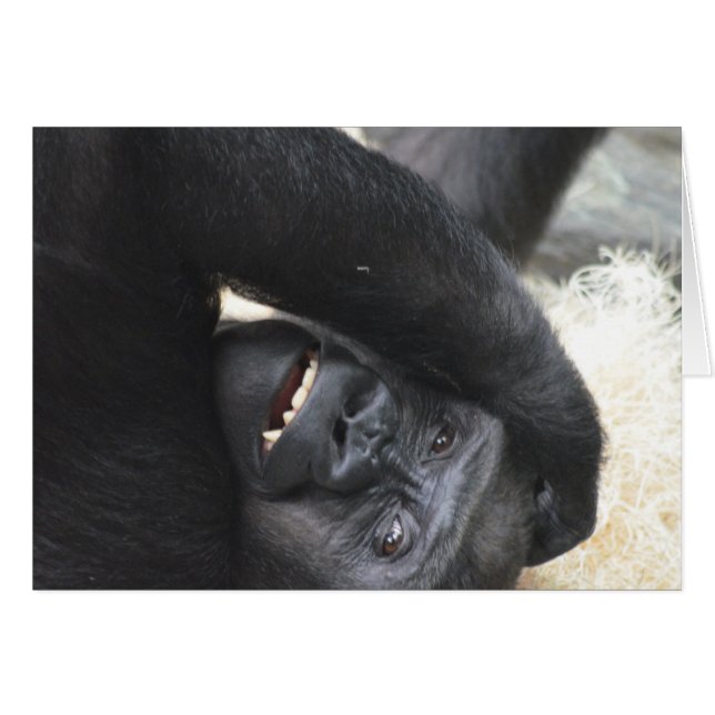 Gorilla Smile (Devant horizontal)