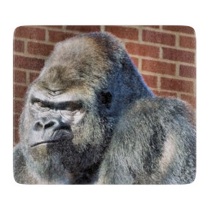 GORILLA SNIJPLANK