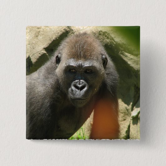 Gorilla Square Button (Voorkant)