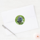 Gorilla Sticker (Envelop)