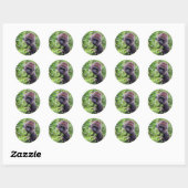 Gorilla Stickers (Vel)