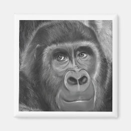 Gorilla sucking fingers Magnet2指しゃぶりのゴリラマグネット Magneet