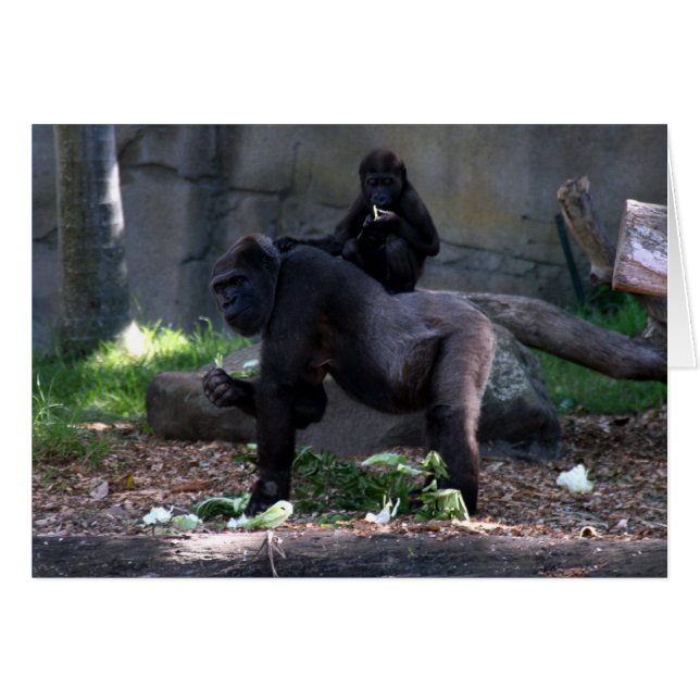 gorilla terug (Voorkant Horizontaal)
