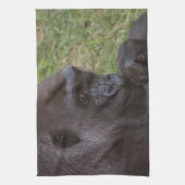 Gorilla Theedoek (Verticaal)