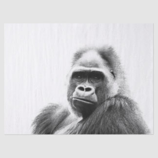 Gorilla Tissuepapier