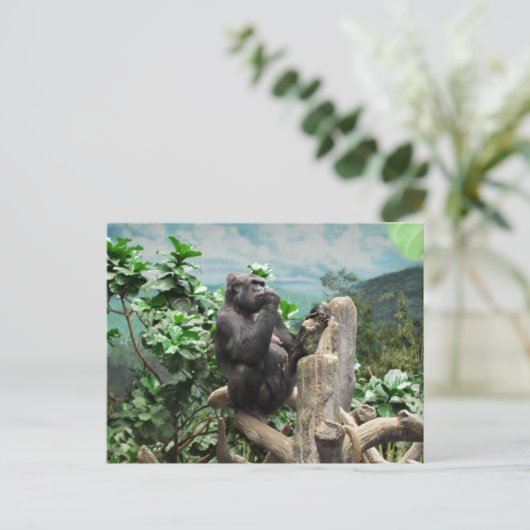 Gorilla too briefkaart (Staand voorkant)