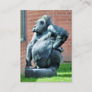GORILLA VISITEKAARTJE