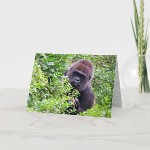 Gorilla Wenskaart Kaart