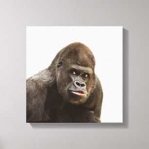 Gorilla wild oerwoud dierentuin canvas afdruk