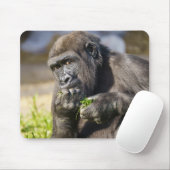 Gorilla Youngster Muismat (Met muis)