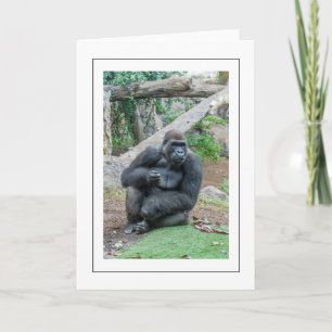 Gorilla zittend wenskaart kaart