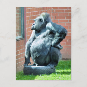 GORILLA'S BRIEFKAART