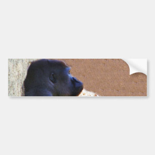 Gorillas_ Bumpersticker