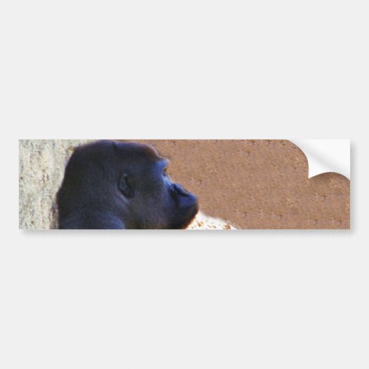 Gorillas_ Bumpersticker (Voorkant)