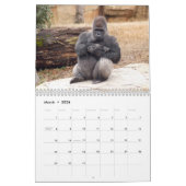 Gorillas Calendar Kalender (Mar 2026)