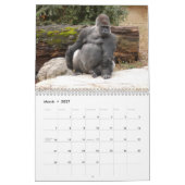 Gorillas Calendar Kalender (Mar 2027)