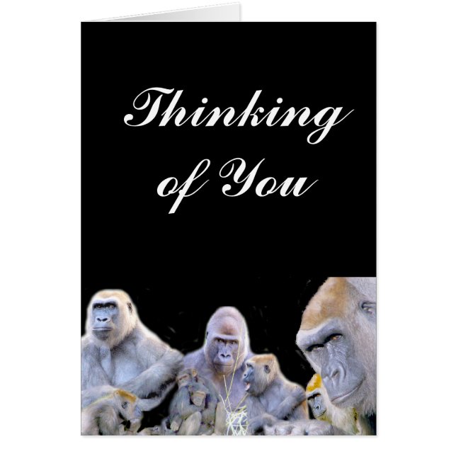 Gorillas & Chimpanzees_ (Voorkant)
