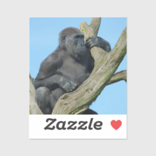 Gorilla's rustige boombaars sticker