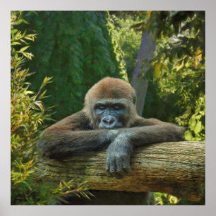 GORILLA'S S.O.S. "BESPAAR ONZE SOORT" POSTER