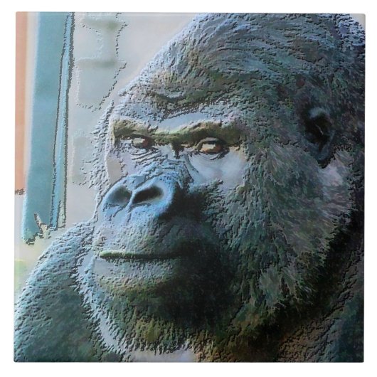 GORILLAS TEGELTJE (Voorkant)
