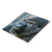 GORILLAS TEGELTJE (Zijkant)