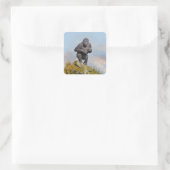 Gorilla's Tree-Balancing Act Vierkante Sticker (Tas)