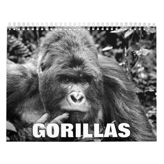 Gorillas Wall Calendar Kalender (Hoes)