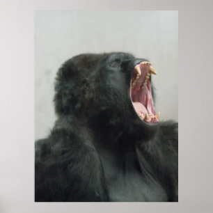 Gorille, Ape, Singe, Animal, Poster du mur de la n