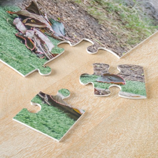 Gorille au puzzle du zoo (Côté)