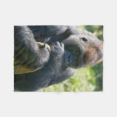 Gorille D'Argent Et Sa Couverture (Devant (Horizontal))