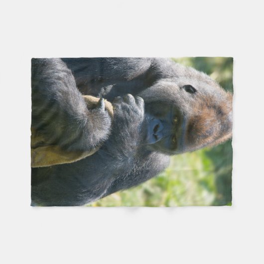 Gorille D'Argent Et Sa Couverture (Devant (Horizontal))