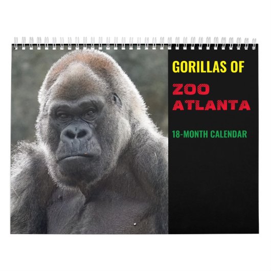 Gorilles de Zoo Atlanta 2022 Calendrier (18 mois) (Protection)