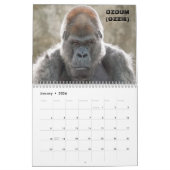 Gorilles de Zoo Atlanta 2022 Calendrier (18 mois) (Jan 2026)