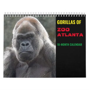 Gorilles de Zoo Atlanta 2022 Calendrier (18 mois)