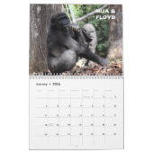 Gorilles de Zoo Atlanta 2023 Calendrier (Jan 2026)