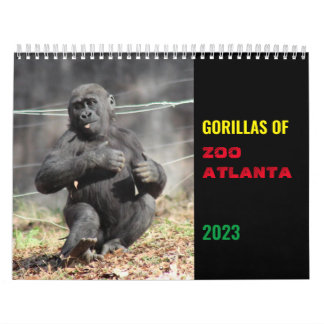 Gorilles de Zoo Atlanta 2023 Calendrier
