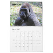 Gorilles de Zoo Atlanta 2023 Calendrier (Mar 2027)