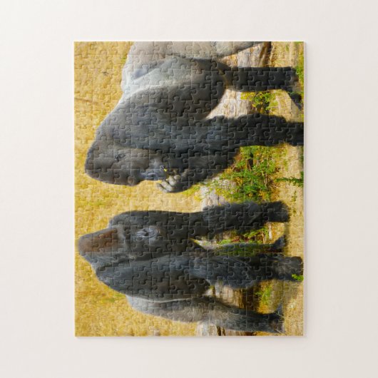 Gorilles. Jigsaw Puzzle (Vertical)