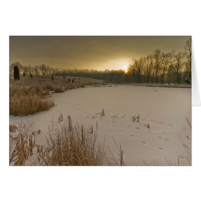 Gorman Winter Sunrise (Voorkant Horizontaal)